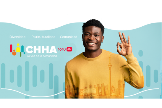 guadalajara, publicidad digital, desarrollo web