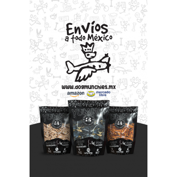  campañas publicitarias, experiencia de usuario,guadalajara