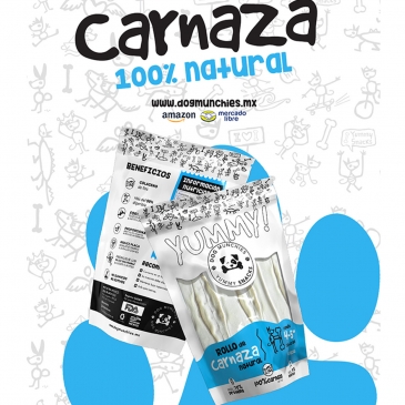 jalisco, branding, publicidad en línea