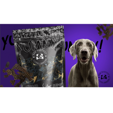 dog munchies, desarrollo web, consultoría digital