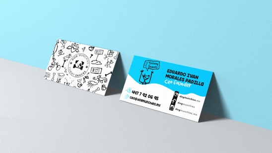  branding, diseño gráfico, marketing en redes