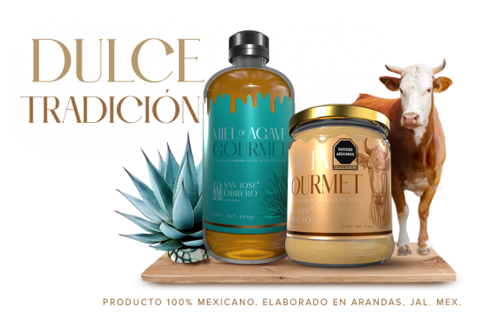  guadalajara, soluciones creativas, creatividad publicitaria